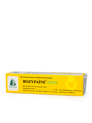 Bozypaine (Thuốc) Hộp 1 tuýp x 24 viên